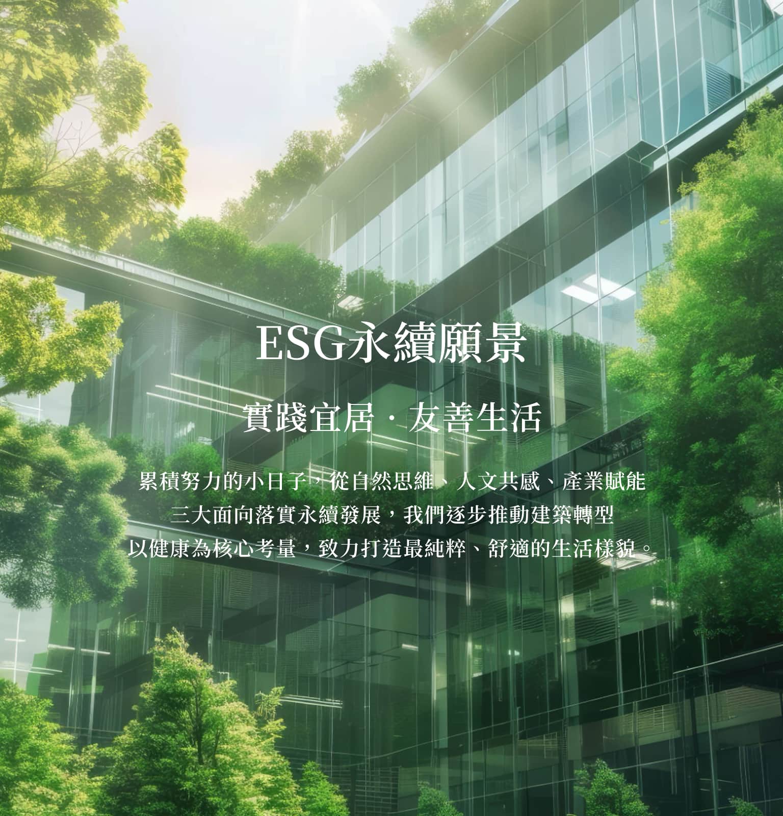 泰和茂banner 圖片3